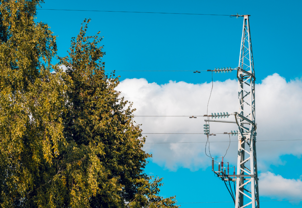 Transmission line in front of blue sky with tree to the left.